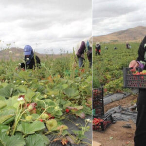 ya tutarsa diye baslayip kazancini katladi memleketini uretim ussune cevirdi simdi siparislere yetisemiyor yeXJ8GHy