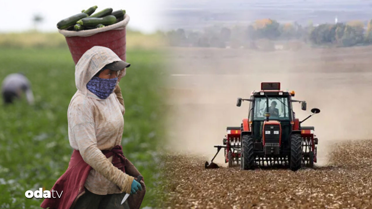 ciftcinin borcu 1 trilyonu asti hasat almadigi tarla traktor satista v2PVtRzJ