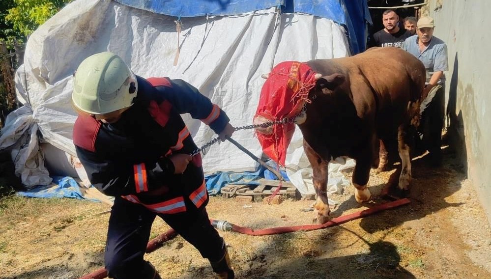 malatyada ahirda yangin panigi mq2uEla6