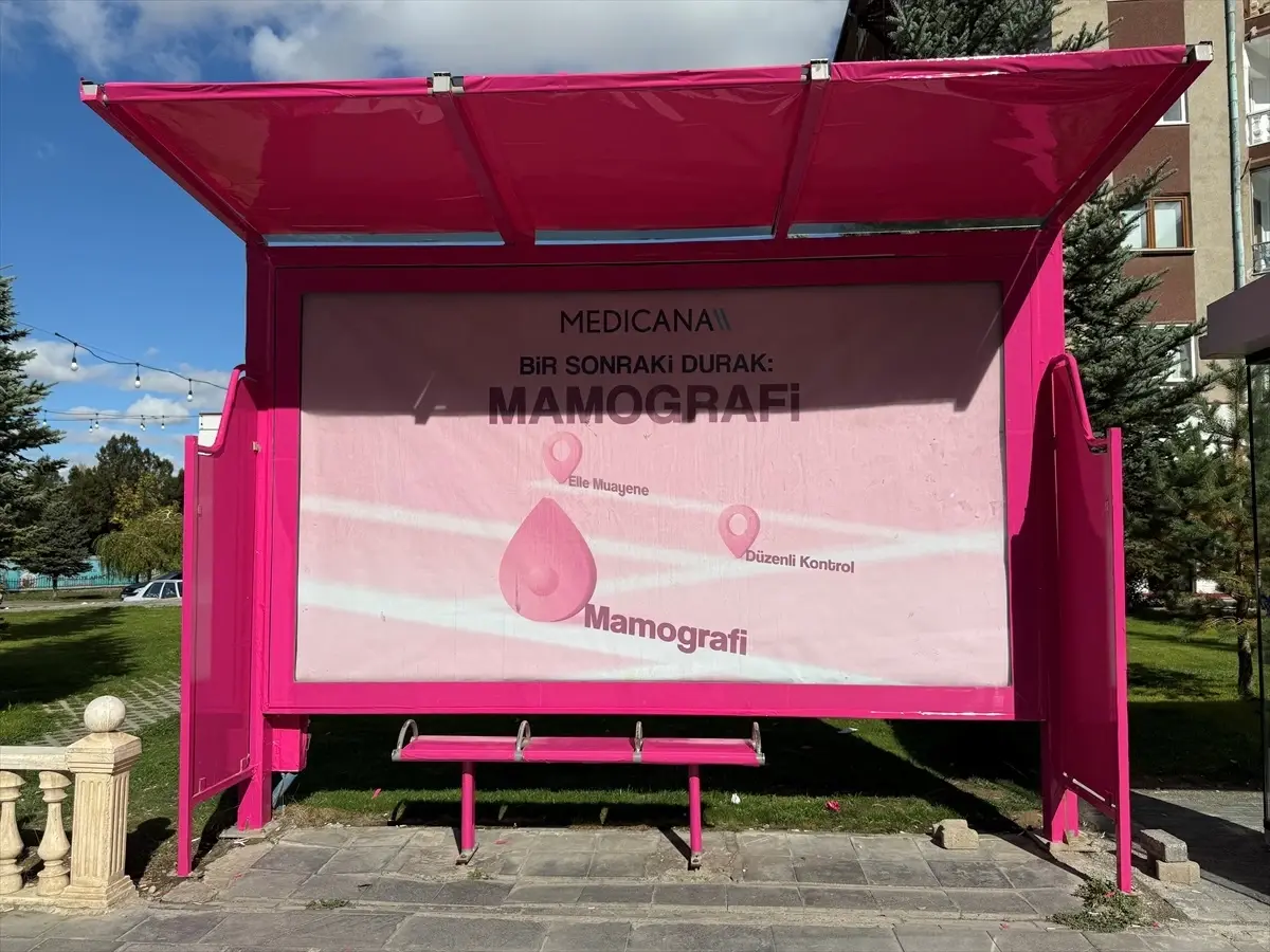 sivasta meme kanseri farkindalik ayi icin duraklar pembe renklendirildi whz12ztq.jpg