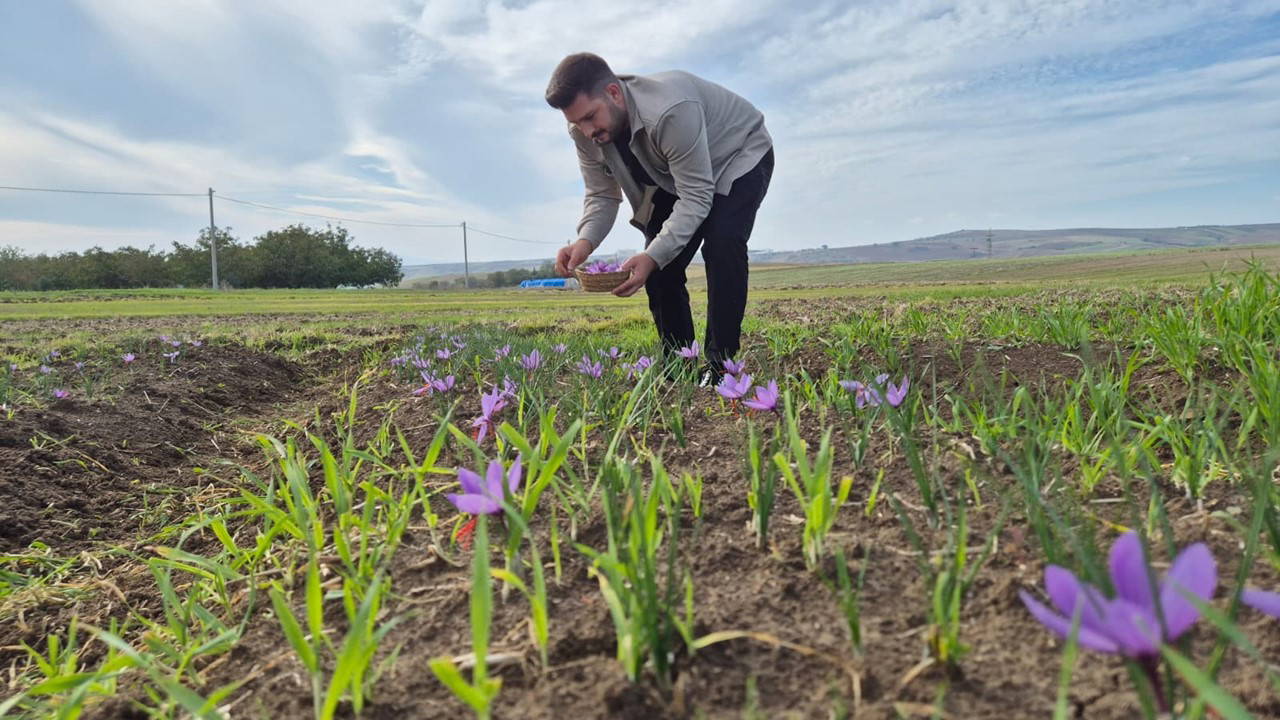 bir cicekten 3 tel cikiyor kilosu 600 bin lira PGii9gIu.jpg