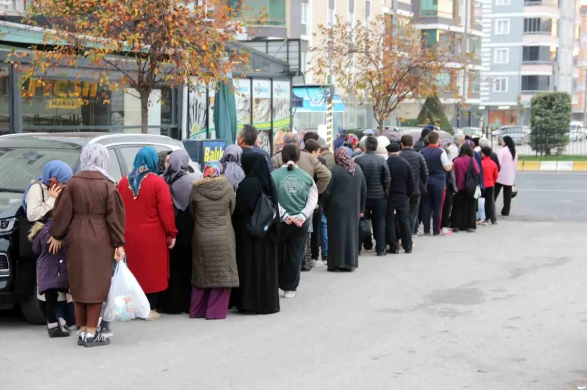 corumda hamsi kuyrugu bE5qbxYr.jpg