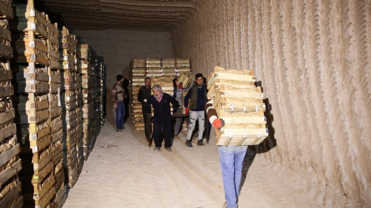 Kapadokya’daki doğal mağaralarda ‘yatak limon’ depolanıyor
